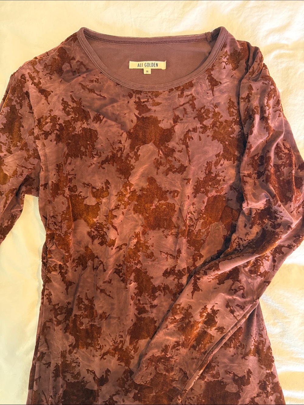 Ali Golden Women's Rust Burnout Velvet Long Sleeve Top